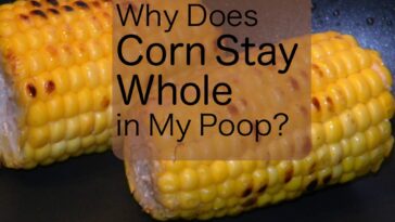 Why do I poop out whole pieces of food?