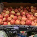 Why do apples make me burp?