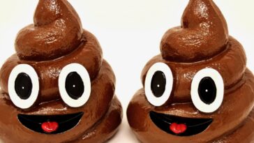 Why do beans make me poop so much?