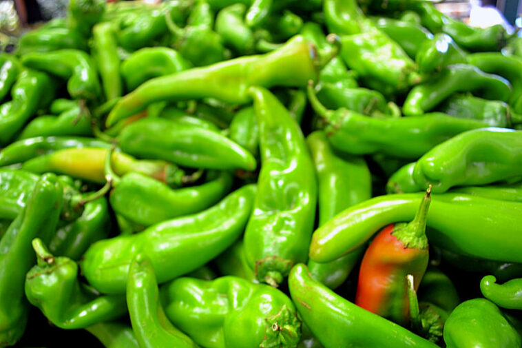 Why do bell peppers make you poop?
