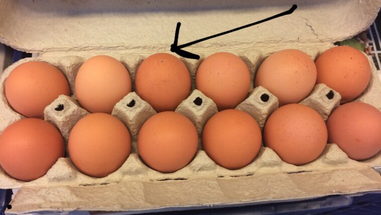 Why do eggs always give me heartburn?