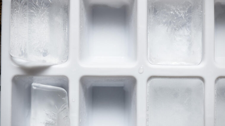 Why do ice cube trays smell?