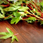 Why do leafy vegetables shrink so much when cooked?