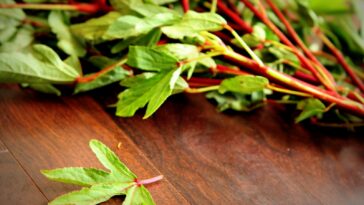 Why do leafy vegetables shrink so much when cooked?