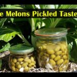 Why do pickles make me gassy?