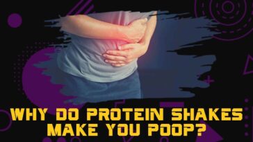 Why do protein bars bother my stomach?