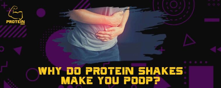 Why do protein bars bother my stomach?