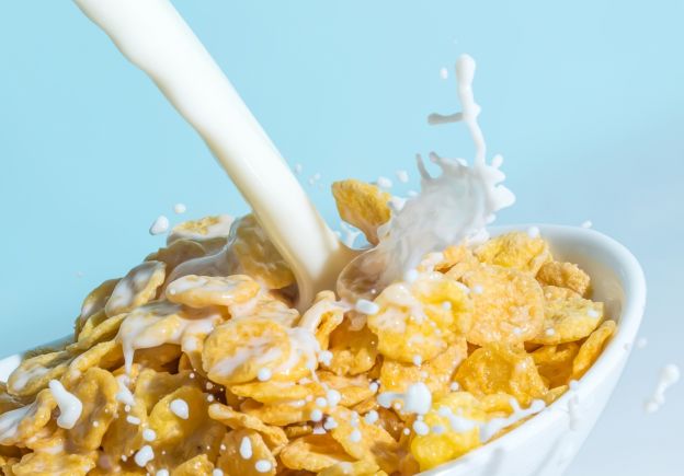 Why do we eat cereals?