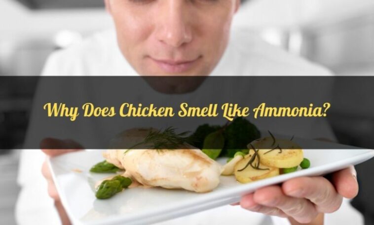 Why does beef taste like ammonia?