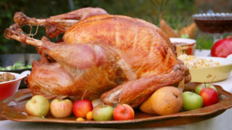 Why does meat make me so tired?