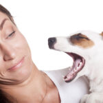 Why does my breath stink no matter what I do?