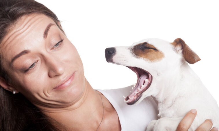 Why does my breath stink no matter what I do?
