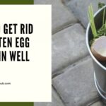 Why does my hamburger smell like rotten eggs?