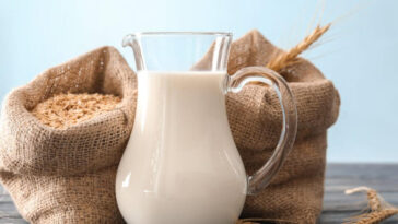 Why does oat milk have canola oil?