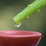 Why does some water give me diarrhea?