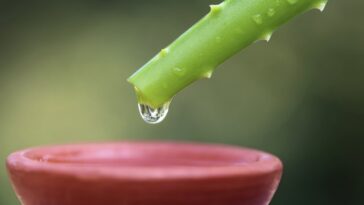 Why does some water give me diarrhea?