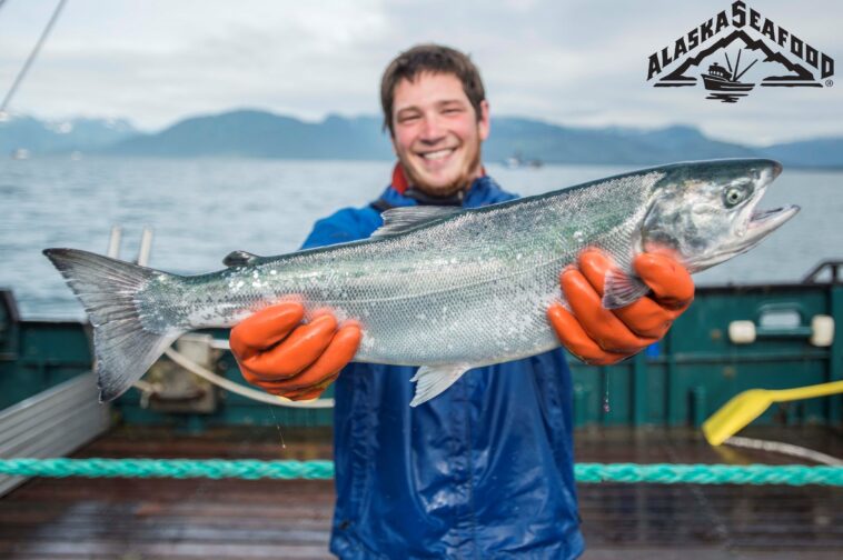 Why is Alaska Pollock so cheap?