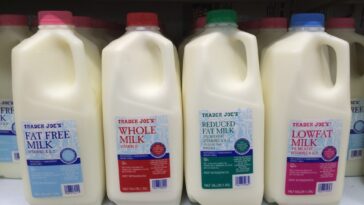 Why is American milk different?