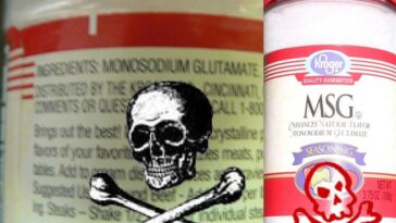 Why is MSG harmful?