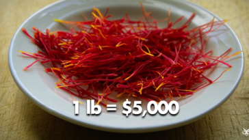 Why is Seedlip so expensive?