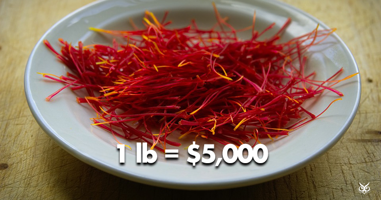 Why is Seedlip so expensive?