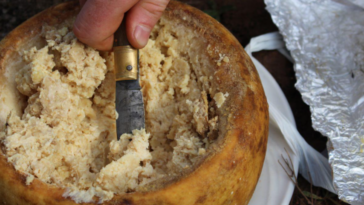 Why is casu marzu eaten?