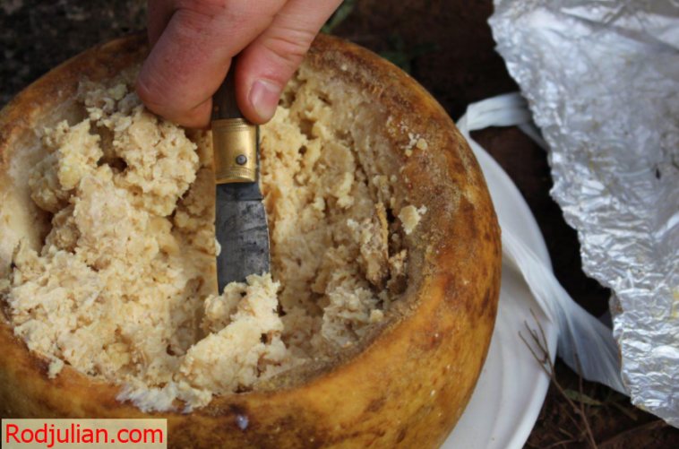 Why is casu marzu eaten?