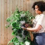 Why is farm to table expensive?