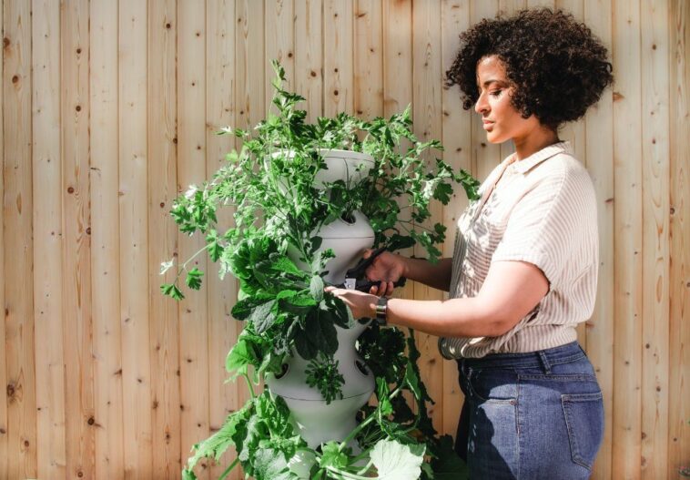 Why is farm to table expensive?