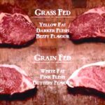 Why is grass fed beef darker?