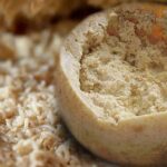 Why is maggot cheese illegal?