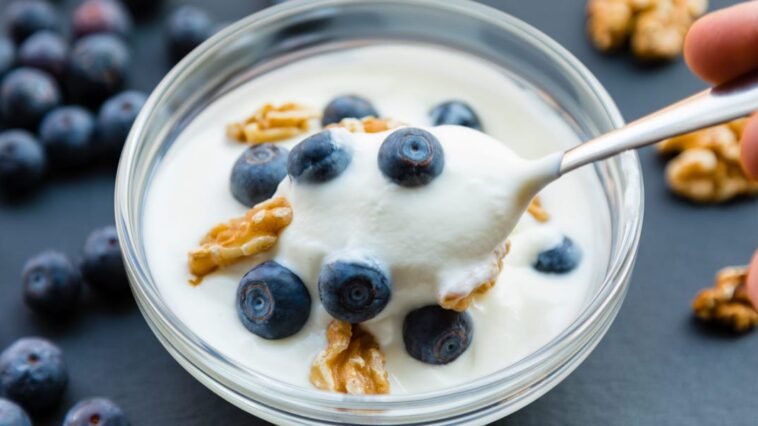 Why is oui yogurt so good?