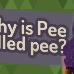 Why is pee called pee?