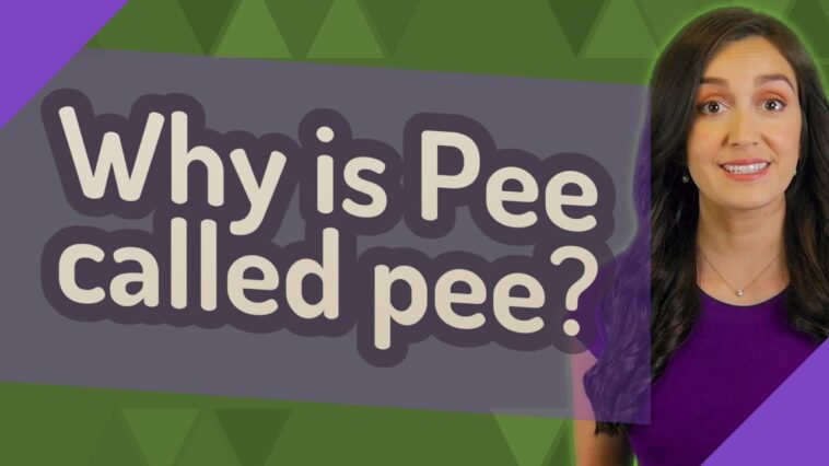 Why is pee called pee?
