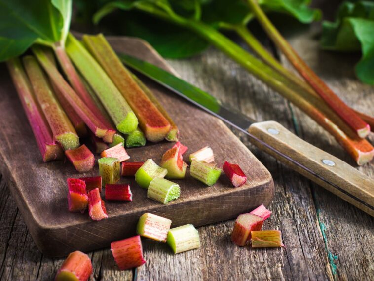 Why is rhubarb considered a fruit?