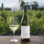 Why is there a shortage of Sauvignon Blanc?