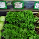 Why is there no lettuce?