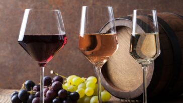 Why is wine drunk so different?