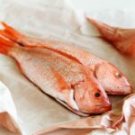 Why should red snapper not be eaten?