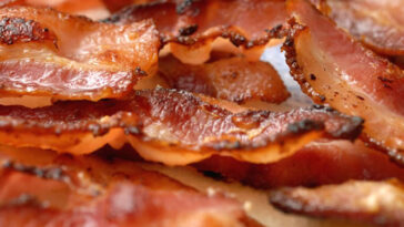 Why u should not eat pork?