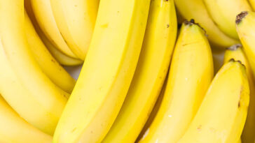 Why you shouldn't eat green bananas?