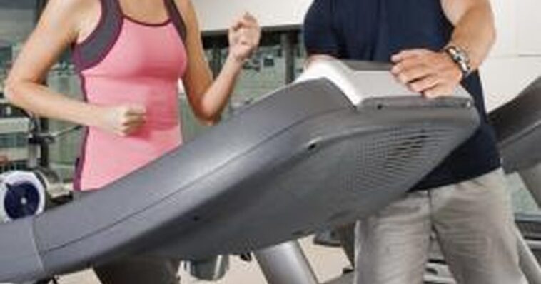 Will 30 minutes a day on the treadmill?