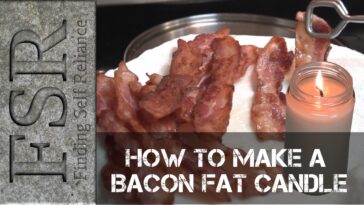 Will bacon make me fat?