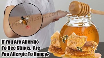 Can I eat honey if I'm allergic to pollen?