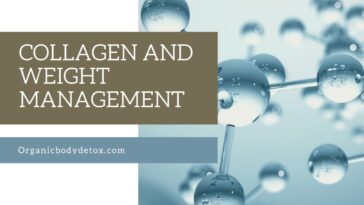 Can collagen cause weight gain?