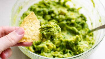 Can you buy premade guacamole?