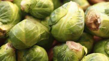 Do brussel sprouts cause smelly gas?