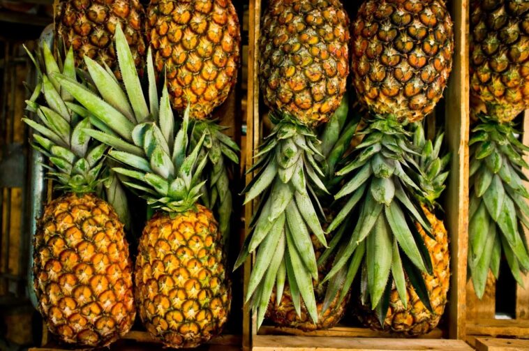 Does pineapple make your VAG taste sweeter?