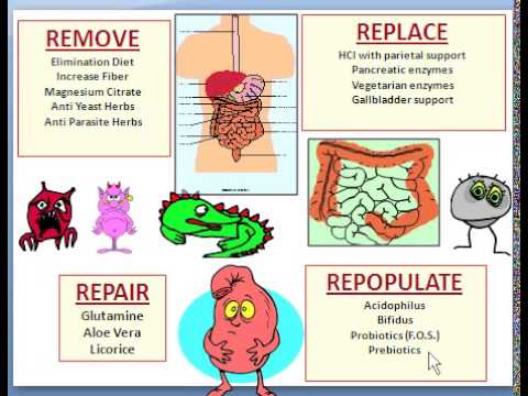 How do I detox my gut?