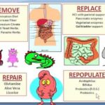 How do I detox my gut?